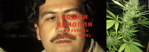 дживик Богородицк