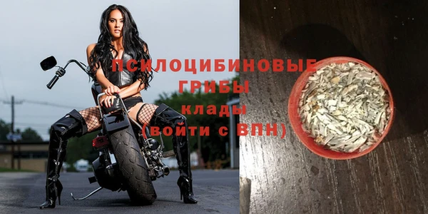 дживик Богородицк
