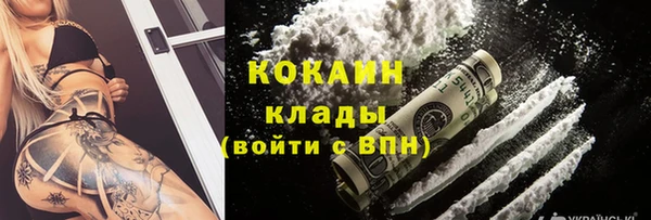 дживик Богородицк