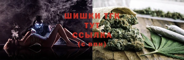 дживик Богородицк