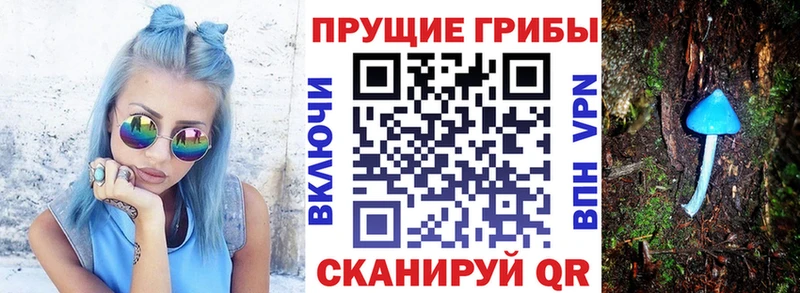 нарко площадка как зайти  Высоковск  Псилоцибиновые грибы прущие грибы 